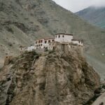 pexels-julia-volk-5204945