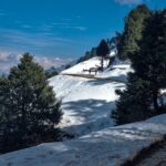 pexels-karan-hansraj-2147704894-29746525